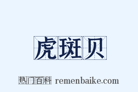 虎斑贝是什么意思的图片